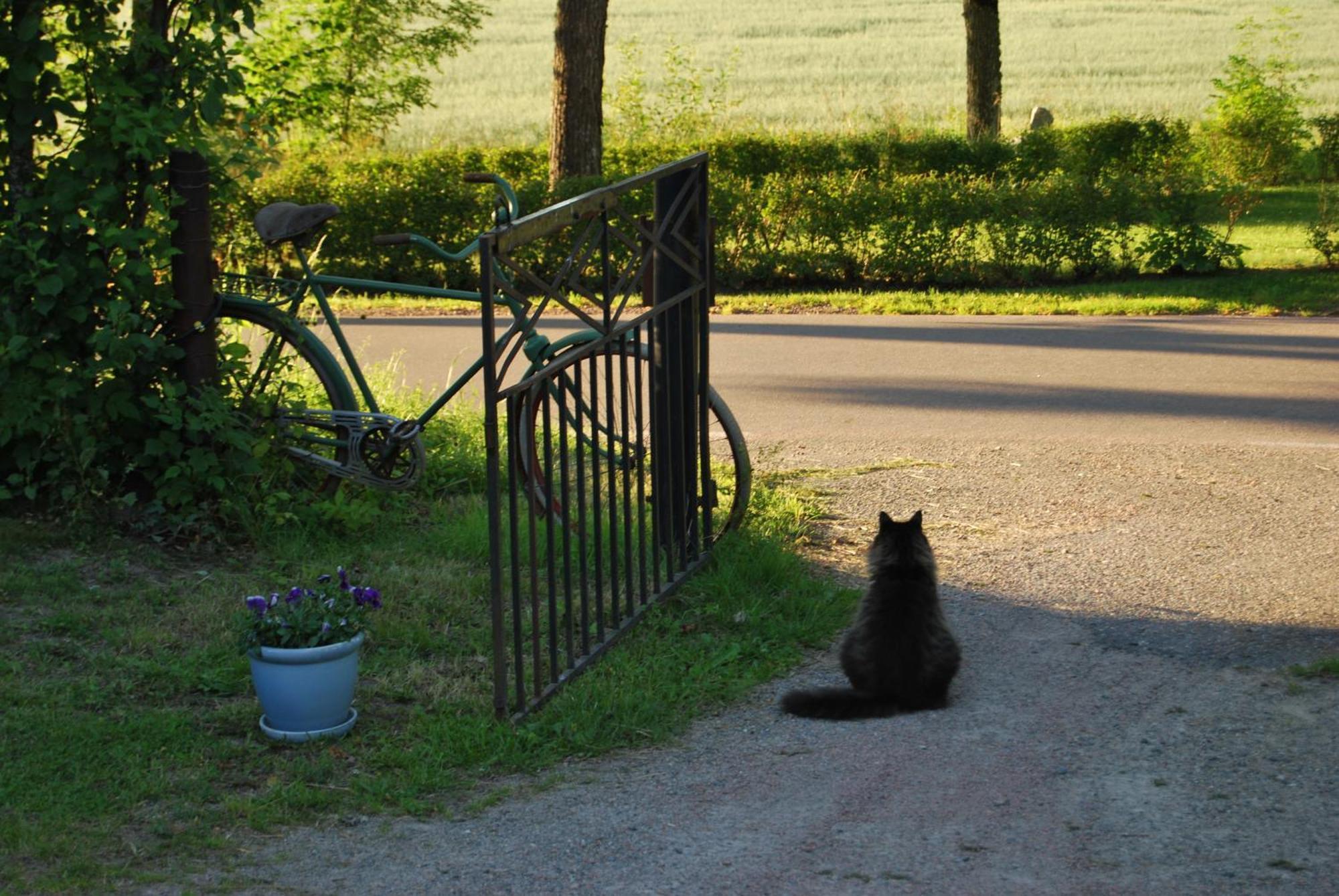 Rytterne Kyrkskola Bed & Breakfast Sorby  Bagian luar foto